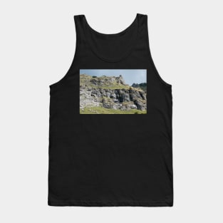 View from Bucegi mountains, Romania, Bucegi National Park Tank Top